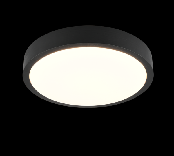 Trio T647410102 LED přisazené stropní svítidlo ISEO | 24W integrovaný LED zdroj | 2500lm | 3000K