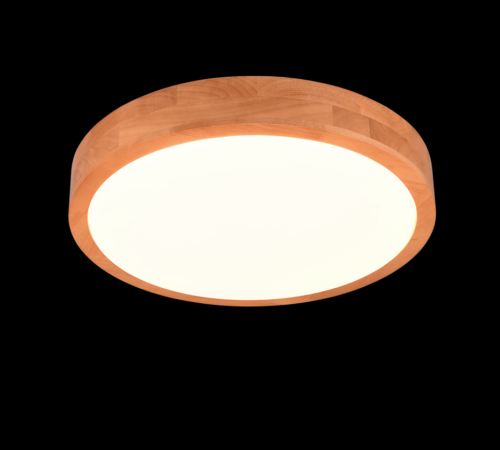 Trio T647410130 LED přisazené stropní svítidlo ISEO | 24W integrovaný LED zdroj | 2500lm | 3000K