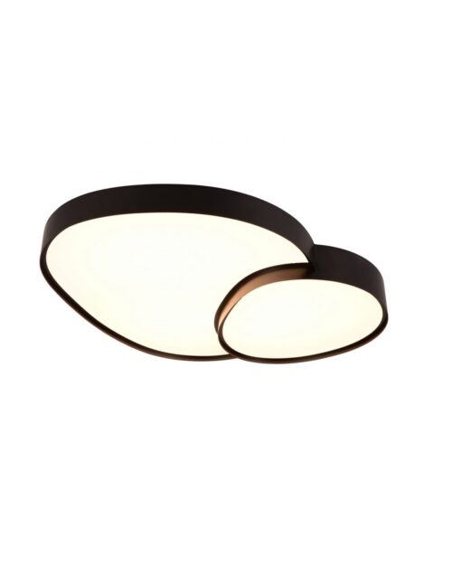 Trio T647519280 LED přisazené stropní svítidlo RISE | 45W integrovaný LED zdroj | 5300lm | 2700-6500K