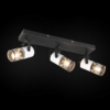 Trio T804300334 bodové stropní svítidlo TOSH E14