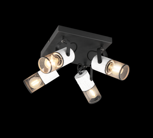 Trio T804300434 bodové stropní svítidlo TOSH E14
