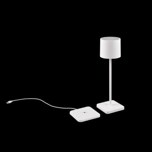 Trio Reality TR54096131 LED venkovní stolní svítidlo FERNANDEZ | 1,5W integrovaný LED zdroj | 130lm | 4000K