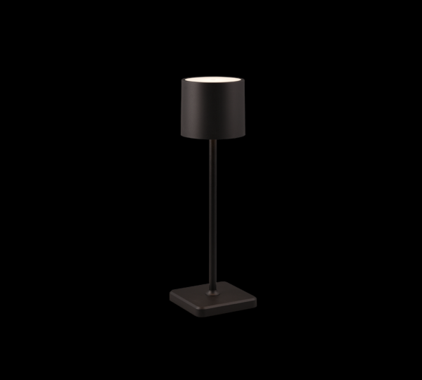 Trio Reality TR54096132 LED venkovní stolní svítidlo FERNANDEZ | 1,5W integrovaný LED zdroj | 130lm | 4000K