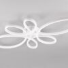 Trio T645619131 LED přisazené stropní svítidlo FLY | 32W integrovaný LED zdroj | 3900lm | 4000K