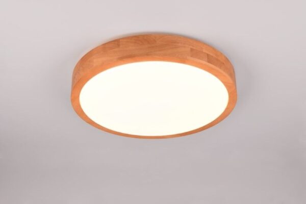 Trio T647410130 LED přisazené stropní svítidlo ISEO | 24W integrovaný LED zdroj | 2500lm | 3000K