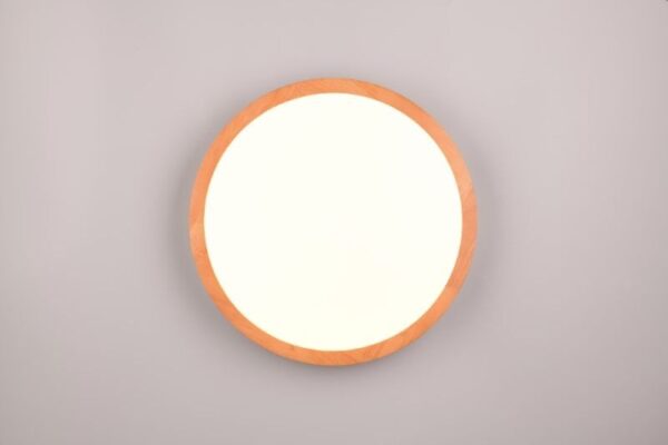 Trio T647410130 LED přisazené stropní svítidlo ISEO | 24W integrovaný LED zdroj | 2500lm | 3000K