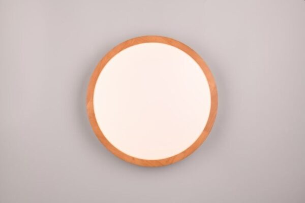 Trio T647410130 LED přisazené stropní svítidlo ISEO | 24W integrovaný LED zdroj | 2500lm | 3000K