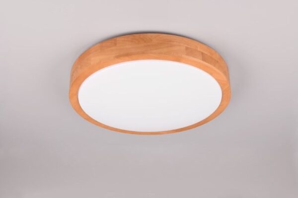 Trio T647410130 LED přisazené stropní svítidlo ISEO | 24W integrovaný LED zdroj | 2500lm | 3000K