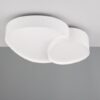 Trio T647510231 LED přisazené stropní svítidlo RISE | 21W integrovaný LED zdroj | 2400lm | 2700-6500K