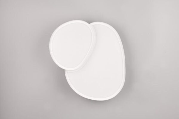 Trio T647510231 LED přisazené stropní svítidlo RISE | 21W integrovaný LED zdroj | 2400lm | 2700-6500K
