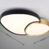 Trio T647519280 LED přisazené stropní svítidlo RISE | 45W integrovaný LED zdroj | 5300lm | 2700-6500K