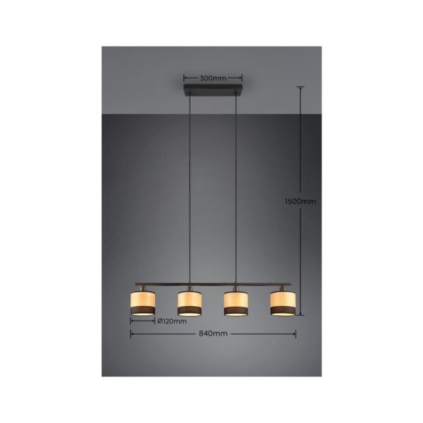 Trio Reality TR31664032 závěsné stropní svítidlo BOLZANO E14
