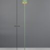 Trio Reality TR47706149 LED stojací lampa SUAREZ | 1,5W integrovaný LED zdroj | 200lm | 3000K