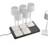 Trio Reality TR54096631 LED venkovní stolní svítidlo FERNANDEZ | 1,5W integrovaný LED zdroj | 130lm | 4000K