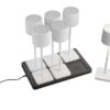 Trio Reality TR54096631 LED venkovní stolní svítidlo FERNANDEZ | 1,5W integrovaný LED zdroj | 130lm | 4000K