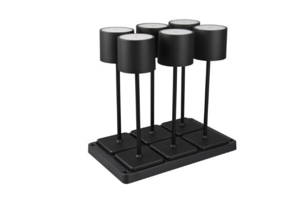 Trio Reality TR54096632 LED venkovní stolní svítidlo FERNANDEZ | 1,5W integrovaný LED zdroj | 130lm | 4000K