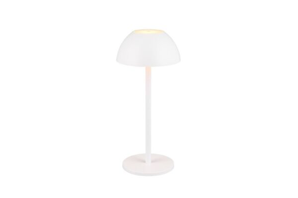 Trio Reality TR54106131 LED venkovní stolní svítidlo RICARDO | 1,7W integrovaný LED zdroj | 240lm | 3000K