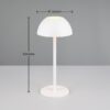 Trio Reality TR54106131 LED venkovní stolní svítidlo RICARDO | 1,7W integrovaný LED zdroj | 240lm | 3000K