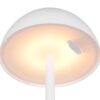 Trio Reality TR54106131 LED venkovní stolní svítidlo RICARDO | 1,7W integrovaný LED zdroj | 240lm | 3000K