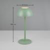 Trio Reality TR54106149 LED venkovní stolní svítidlo RICARDO | 1,7W integrovaný LED zdroj | 240lm | 3000K