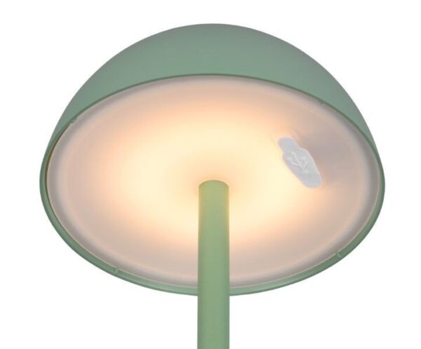 Trio Reality TR54106149 LED venkovní stolní svítidlo RICARDO | 1,7W integrovaný LED zdroj | 240lm | 3000K