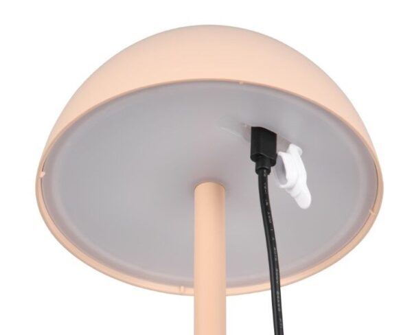Trio Reality TR54106166 LED venkovní stolní svítidlo RICARDO | 1,7W integrovaný LED zdroj | 240lm | 3000K