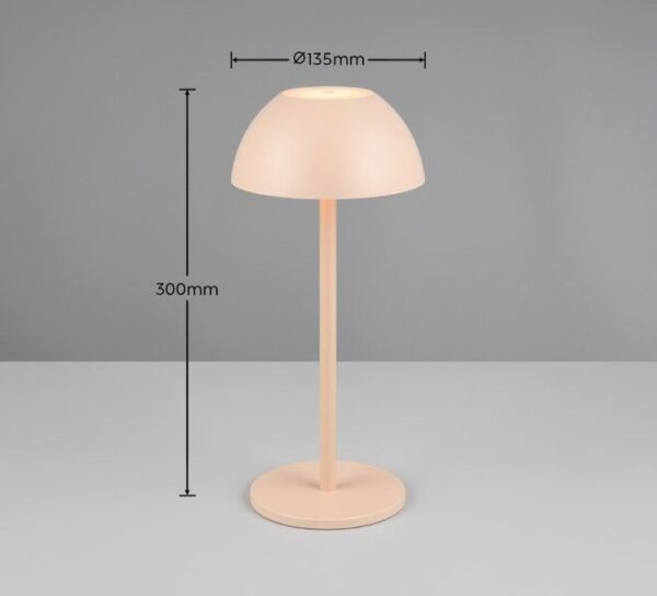 Trio Reality TR54106166 LED venkovní stolní svítidlo RICARDO | 1,7W integrovaný LED zdroj | 240lm | 3000K