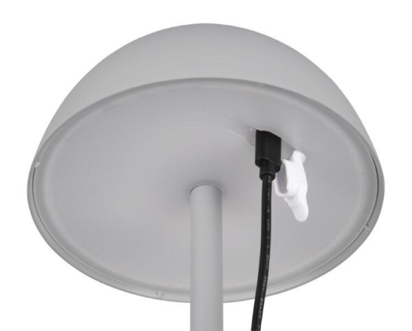 Trio Reality TR54106177 LED venkovní stolní svítidlo RICARDO  | 1,7W integrovaný LED zdroj | 240lm | 3000K