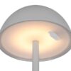 Trio Reality TR54106177 LED venkovní stolní svítidlo RICARDO  | 1,7W integrovaný LED zdroj | 240lm | 3000K