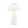 Trio Reality TR57716131 LED venkovní stolní svítidlo FUNGO | 2W integrovaný LED zdroj | 200lm | 3000+4000+5000K