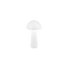 Trio Reality TR57716131 LED venkovní stolní svítidlo FUNGO | 2W integrovaný LED zdroj | 200lm | 3000+4000+5000K