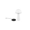 Trio Reality TR57716131 LED venkovní stolní svítidlo FUNGO | 2W integrovaný LED zdroj | 200lm | 3000+4000+5000K