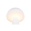 Trio Reality TR57716131 LED venkovní stolní svítidlo FUNGO | 2W integrovaný LED zdroj | 200lm | 3000+4000+5000K