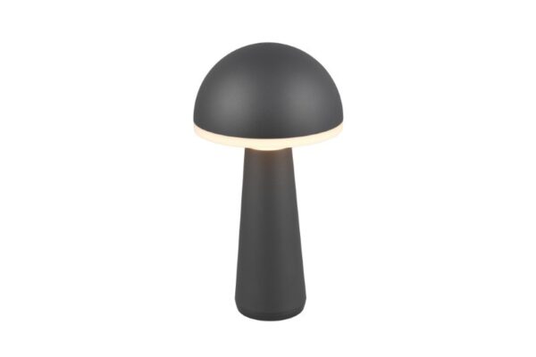 Trio Reality TR57716142 LED venkovní stolní svítidlo FUNGO | 2W integrovaný LED zdroj | 200lm | 3000+4000+5000K