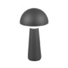 Trio Reality TR57716142 LED venkovní stolní svítidlo FUNGO | 2W integrovaný LED zdroj | 200lm | 3000+4000+5000K