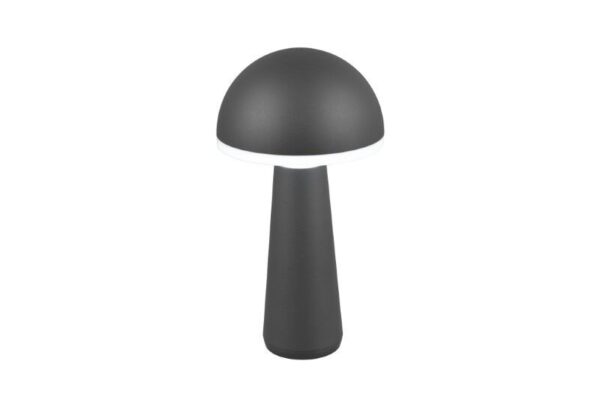 Trio Reality TR57716142 LED venkovní stolní svítidlo FUNGO | 2W integrovaný LED zdroj | 200lm | 3000+4000+5000K