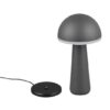 Trio Reality TR57716142 LED venkovní stolní svítidlo FUNGO | 2W integrovaný LED zdroj | 200lm | 3000+4000+5000K
