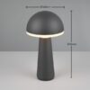 Trio Reality TR57716142 LED venkovní stolní svítidlo FUNGO | 2W integrovaný LED zdroj | 200lm | 3000+4000+5000K