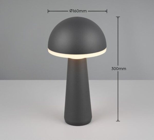 Trio Reality TR57716142 LED venkovní stolní svítidlo FUNGO | 2W integrovaný LED zdroj | 200lm | 3000+4000+5000K