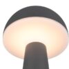 Trio Reality TR57716142 LED venkovní stolní svítidlo FUNGO | 2W integrovaný LED zdroj | 200lm | 3000+4000+5000K