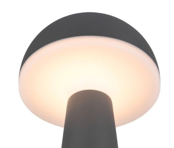 Trio Reality TR57716142 LED venkovní stolní svítidlo FUNGO | 2W integrovaný LED zdroj | 200lm | 3000+4000+5000K
