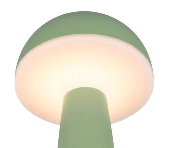 Trio Reality TR57716149 LED venkovní stolní svítidlo FUNGO | 2W integrovaný LED zdroj | 200lm | 3000+4000+5000K