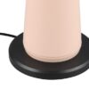 Trio Reality TR57716166 LED venkovní stolní svítidlo FUNGO | 2W integrovaný LED zdroj | 200lm | 3000+4000+5000K