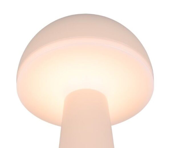Trio Reality TR57716166 LED venkovní stolní svítidlo FUNGO | 2W integrovaný LED zdroj | 200lm | 3000+4000+5000K