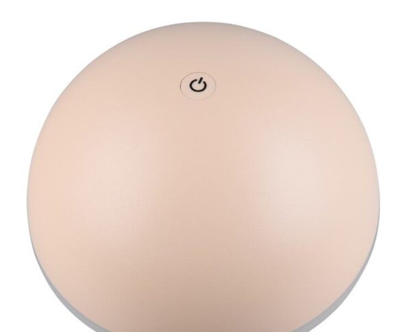 Trio Reality TR57716166 LED venkovní stolní svítidlo FUNGO | 2W integrovaný LED zdroj | 200lm | 3000+4000+5000K