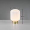Trio Reality TR57761101 LED stolní lampička LORD | 1,5W integrovaný LED zdroj | 100lm | 3000K