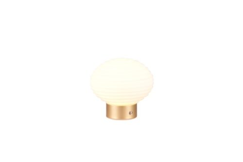 Trio Reality TR57771101 LED stolní lampička EARL | 1,5W integrovaný LED zdroj | 100lm | 3000K