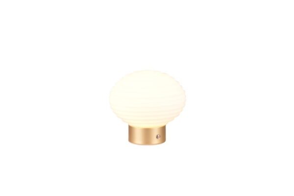 Trio Reality TR57771101 LED stolní lampička EARL | 1,5W integrovaný LED zdroj | 100lm | 3000K