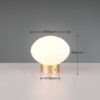 Trio Reality TR57771101 LED stolní lampička EARL | 1,5W integrovaný LED zdroj | 100lm | 3000K