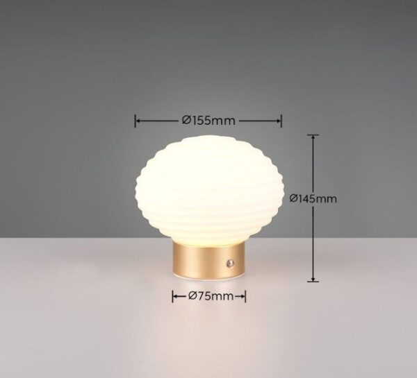 Trio Reality TR57771101 LED stolní lampička EARL | 1,5W integrovaný LED zdroj | 100lm | 3000K
